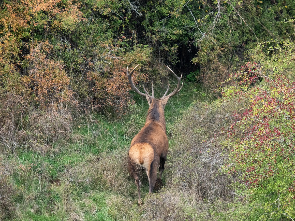 27092025-27 09 25 (8).jpg